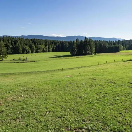 In Reitersau Near The Area Tatil Evi Steingaden