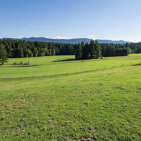 Alpiner Aufenthalt Mit Balkon In * Steingaden