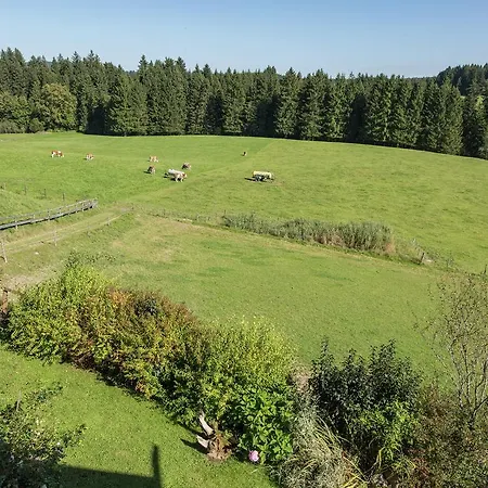 In Reitersau Near The Area Steingaden