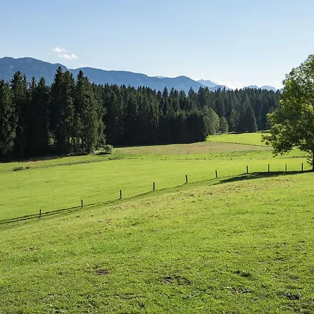 In Reitersau Near The Area